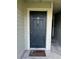 Inviting front door with welcome mat in a well maintained building at 6100 Westgate Dr # 203, Orlando, FL 32835