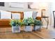 Close up of living room decorations including plants on a wooden coffee table at 3432 Lilac Way, Davenport, FL 33897