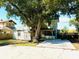 Spacious backyard featuring a large shade tree, wooden deck, and storage shed at 428 E Orange Ave, Eustis, FL 32726