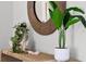 Console table with a rope-framed mirror and decorative plants creating a welcoming ambiance at 1074 Clay Blvd, Tavares, FL 32778