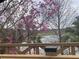 Scenic lake view from the deck framed by vibrant pink flowers and lush greenery at 20945 Oldenburg Loop, Mount Dora, FL 32757