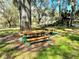 Wood picnic tables on green grass with Spanish Moss trees at 20945 Oldenburg Loop, Mount Dora, FL 32757