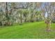 Sprawling backyard with lush green grass and mature trees with Spanish moss at 210 Torcaso Ct, Winter Springs, FL 32708