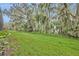 View of lush backyard with green grass and mature trees at 210 Torcaso Ct, Winter Springs, FL 32708