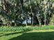 Lush backyard view showcasing natural landscaping and mature trees, offering a serene and private outdoor space at 210 Torcaso Ct, Winter Springs, FL 32708