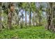A peaceful water view is framed by lush, mature trees, offering privacy and a connection with nature at 210 Torcaso Ct, Winter Springs, FL 32708