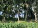 View of the water through lush trees and foilage, offering a serene and private atmosphere at 210 Torcaso Ct, Winter Springs, FL 32708