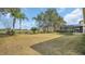 Wide backyard with verdant grass, tall palm trees, and partial fencing for privacy at 23431 Companero Dr, Sorrento, FL 32776