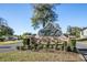 Welcoming entrance to Wolfbranch Meadows with manicured landscaping and established trees at 32107 Spring Meadow Ct., Sorrento, FL 32776