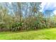Beautiful view of the home's backyard with trees and grass at 321 Davinci Pass, Kissimmee, FL 34759