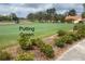 Scenic putting green on a golf course with manicured bushes and flags at 321 Davinci Pass, Kissimmee, FL 34759