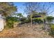 Backyard with mature trees and stone patio featuring an outdoor dining set underneath an umbrella at 3930 Hydrangea Ct, Oviedo, FL 32766