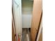 Small closet with shelving and wood-look flooring at 601 Washington Palm Loop, Davenport, FL 33897