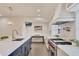 Modern kitchen features a large island, stainless steel appliances, and plenty of counter space at 900 W Plant St, Winter Garden, FL 34787