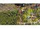 Aerial view of wooded acreage featuring lake access to a home or homesite, showcasing waterfront living at 10433 Trout Rd, Orlando, FL 32836