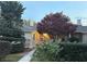 Exterior view of home showcasing mature trees and landscaping around the property at 1400 Tedford St, Eustis, FL 32726