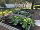Backyard garden with raised beds for growing vegetables at 1400 Tedford St, Eustis, FL 32726