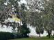 Scenic water view showcasing the tranquil lake framed by mature trees with Spanish moss at 1400 Tedford St, Eustis, FL 32726