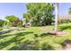 Beautifully landscaped yard with mature trees, enhancing the property's curb appeal at 1400 Tedford St, Eustis, FL 32726