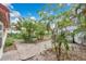 View of the backyard with a concrete patio surrounded by foliage and a storage shed at 1014 24Th St, Orlando, FL 32805