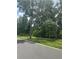 Street view featuring mature trees and a serene, natural ambiance for a welcoming neighborhood at 166 Hammock Preserve Loop, Winter Garden, FL 34787