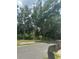Street view featuring mature trees and a serene, natural ambiance for a welcoming neighborhood at 166 Hammock Preserve Loop, Winter Garden, FL 34787