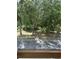 Street view featuring mature trees creating a serene, natural ambiance for a welcoming neighborhood at 166 Hammock Preserve Loop, Winter Garden, FL 34787