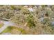 Aerial view of a home nestled among mature trees in a quiet residential neighborhood at 201 W 16Th St, Sanford, FL 32771