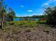 Scenic lake view surrounded by trees and lush vegetation under a bright blue sky at 4501 Dallas Blvd, Orlando, FL 32833