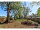 Large fenced backyard with mature trees at 1518 Fabian Ave, Orlando, FL 32807