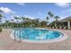 Community pool featuring lounge chairs, a paved pool deck, palm trees, and a clear blue swimming pool at 2582 Greenwillow Dr, Orlando, FL 32825