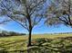 Scenic view of the community's expansive green space under a bright blue sky at 2634 Rutledge Ct, Winter Haven, FL 33884