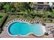 Aerial view of a large community pool with lounge chairs and manicured landscaping, perfect for relaxation at 411 Lazio Cir, Debary, FL 32713