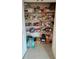 Pantry with organized shelving filled with various food items and household supplies at 5017 Blue Hammock Ct, Kissimmee, FL 34746