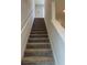 Carpeted staircase with white railing and modern trim leading to the upper level at 5017 Blue Hammock Ct, Kissimmee, FL 34746