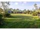 Expansive green backyard providing ample space for recreation and relaxation at 1045 S State Road 415, New Smyrna Beach, FL 32168