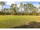 Expansive backyard features lush greenery and mature trees offering privacy and a serene atmosphere at 1045 S State Road 415, New Smyrna Beach, FL 32168
