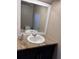 Bathroom features a single sink with granite countertop and a large framed mirror at 14218 Squirrel Run, Orlando, FL 32828