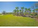 Lush green space with palm trees, picnic tables, and scenic walking trails at 1636 Barberry Dr, Kissimmee, FL 34744