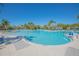 Inviting community pool with clear blue water, lounge chairs, and mature palm trees around the pool's perimeter at 1636 Barberry Dr, Kissimmee, FL 34744
