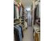 Organized walk-in closet with ample shelving and hanging space at 528 Lobelia Dr, Lake Mary, FL 32746
