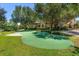 Community putting green with artificial turf surrounded by green grass and landscaping at 528 Lobelia Dr, Lake Mary, FL 32746