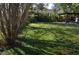 Expansive backyard with lush green grass and mature trees at 933 Lakehurst St, Lakeland, FL 33805