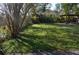 Expansive backyard with lush green grass and mature trees at 933 Lakehurst St, Lakeland, FL 33805