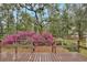 Inviting backyard view from deck showcasing lush landscaping with pink flowering bushes and mature trees at 14226 Nell Dr, Orlando, FL 32832