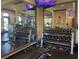 Well-equipped gym featuring a variety of free weights and weight machines at 2348 Clemblue Rd, Clermont, FL 34715