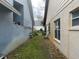 Narrow grassy backyard with a wooden fence between two homes, showcasing its outdoor space at 3210 Little Oak Way, Orlando, FL 32812