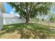 Large backyard featuring an mature tree and well-maintained lawn, enclosed with white fences at 16224 Magnolia Hill St, Clermont, FL 34714