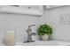 Bright bathroom sink area, featuring a sleek faucet and a decorative plant at 239 Bronze Leaf Ct, Apopka, FL 32703