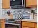 Close-up of the kitchen featuring stainless steel appliances and designer backsplash at 239 Bronze Leaf Ct, Apopka, FL 32703
